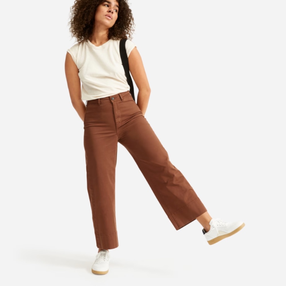Everlane The Lightweight Wide-Leg Crop Chino Brown Size 0 NWOT
